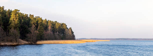 istock Panoramic view of idyllic landscape with calm lake coast with calm flat water surface trees in sunny winter day 1205853016