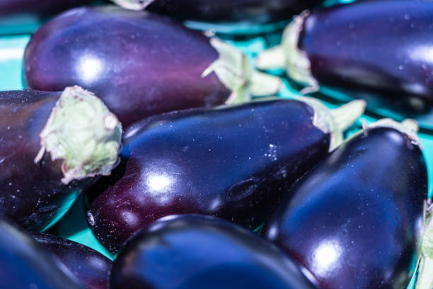 istock Organic Eggplant. Food, close up; background 1205853112