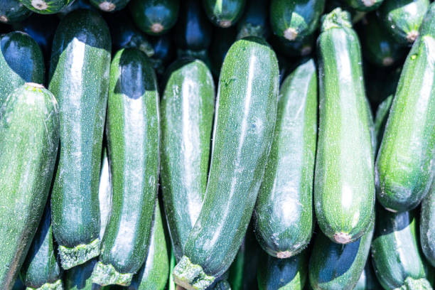 istock Food background - fresh  zucchinis or courgettes 1205853117