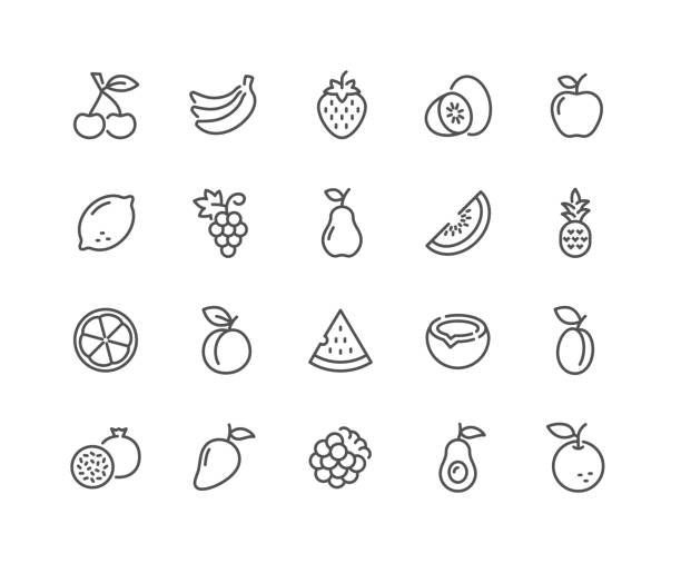 ilustraciones, imágenes clip art, dibujos animados e iconos de stock de iconos de frutas de línea - frutas