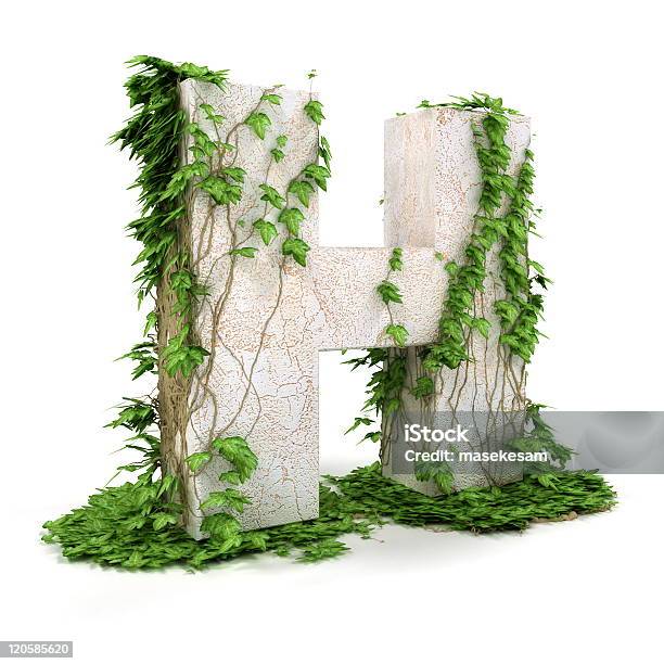 Ivy Buchstabe H Isoliert Auf Weißem Hintergrund Stockfoto und mehr Bilder von Alt - Alt, Blatt - Pflanzenbestandteile, Blume