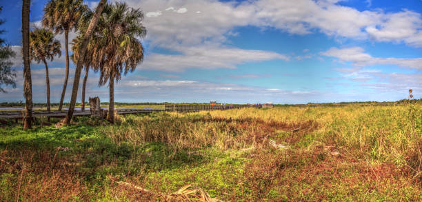 istock Bird watching boardwalk in the marsh of Myakka State Park 1205866100