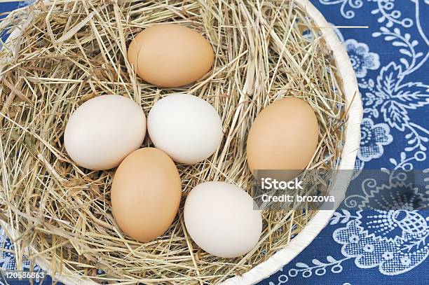 Huevos Frescos De Granja Foto de stock y más banco de imágenes de Alimento - Alimento, Arreglo, Azul