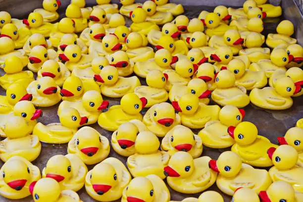 Group of yellow rubber ducks closeup view. Rubber duck race is type of fundraising event where thousands of rubber ducks race on river