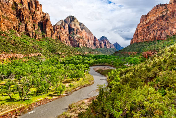 Zion Canyon and the Meandering Virgin River at Dusk Zion Canyon is a unique and different experience than the Grand Canyon. At Zion, you are standing at the bottom looking up where at the Grand Canyon you are at the top looking down. Zion Canyon is mostly made up of sedimentary rocks, bits and pieces of older rocks that have been deposited in layers after much weathering and erosion. These rock layers tell stories of an ancient ecosystem very different from what Zion looks like today. About 110 – 200 million years ago Zion and the Colorado Plateau were near sea level and were close to the equator. Since then they have been uplifted and eroded to form the scenery we see today. Zion Canyon has had a 10,000-year history of human habitation. Most of this history was not recorded and has been interpreted by archeologists and anthropologist from clues left behind. Archeologists have identified sites and artifacts from the Archaic, Anasazi, Fremont and Southern Paiute cultures. Mormon pioneers settled in the area and began farming in the 1850s. Today, the descendants of both the Paiute and Mormons still live in the area. On November 19, 1919 Zion Canyon was established as a national park. Like a lot of public land, the Zion area benefited from infrastructure work done during the Great Depression of the 1930’s by government sponsored organizations like the Civil Works Administration (CWA) and the Civilian Conservation Corps (CCC). During their nine years at Zion the CWA and CCC built trails, parking areas, campgrounds, buildings, fought fires and reduced flooding of the Virgin River. This view of the red rocks of Zion Canyon was photographed from the Emerald Pools Trail in Zion National Park near Springdale, Utah, USA. jeff goulden zion national park stock pictures, royalty-free photos & images