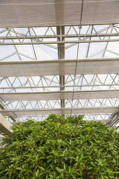 istock Close-up of steel structure greenhouse structure 1205873636