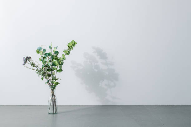 istock Bouquet in vase on white background. Modern lifestyle concept. 1205875591