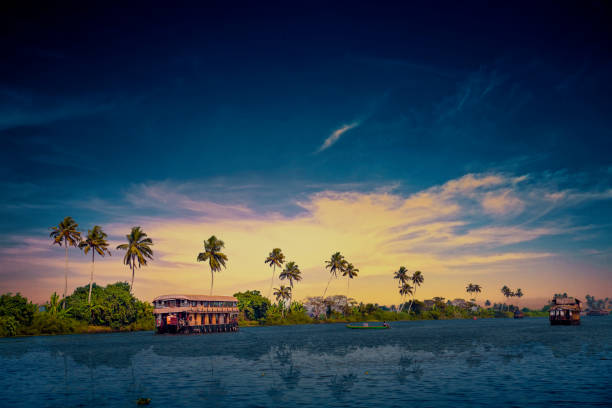 casa flotante en los remansos de kerala. kerala, india - kerala fotografías e imágenes de stock