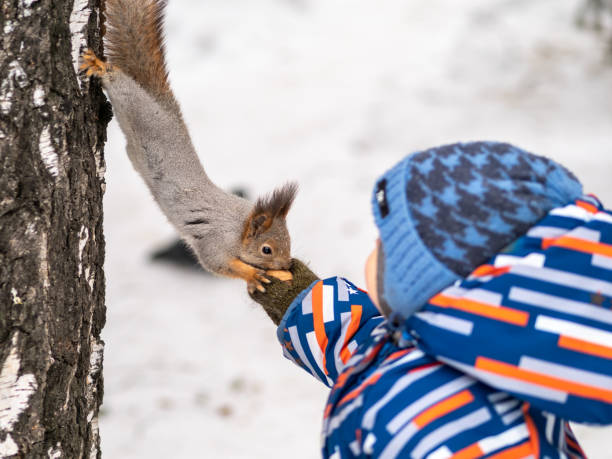 istock A little child in winter feeds a squirrel with a nut. 1205881175