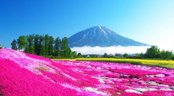 istock Ezo Fuji and superb turf 1205882394