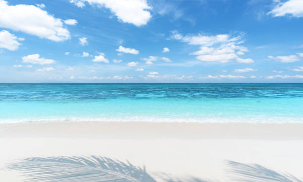 istock Exotic tropical beach scene for background or wallpaper 1205883449
