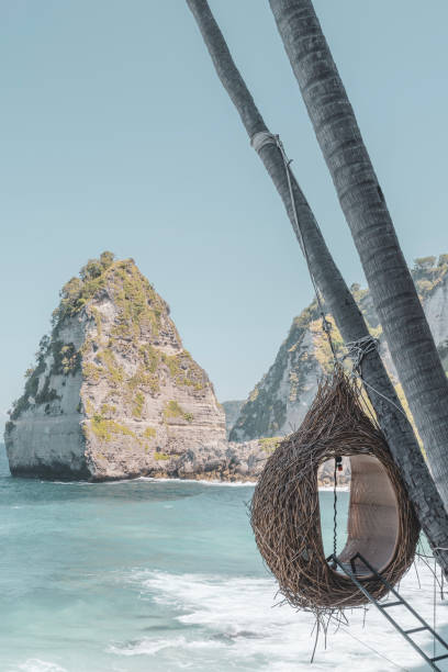 istock Trendy Balinese bird-nest style seating 1205885311