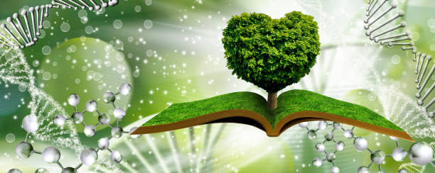 изображение дерева в форме сердца на книгах на фоне фантастического пейзажа с днк. - heart shape grass paper green стоковые фото и изображения