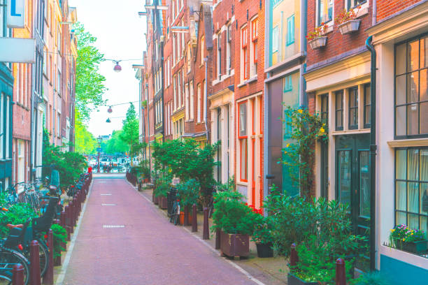 istock Channel in Amsterdam Netherlands houses river Amstel 1205887278