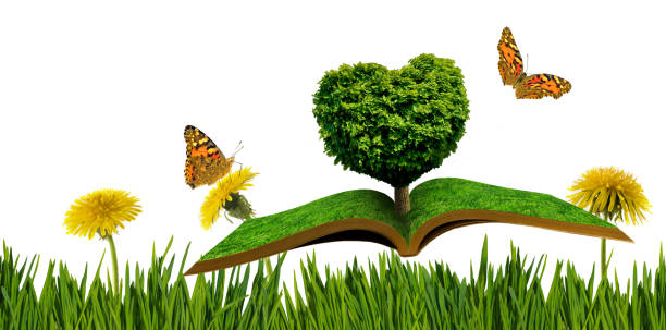 imagem de uma árvore em forma de coração em livros em um fundo de uma paisagem fantástica - heart shape grass paper green - fotografias e filmes do acervo