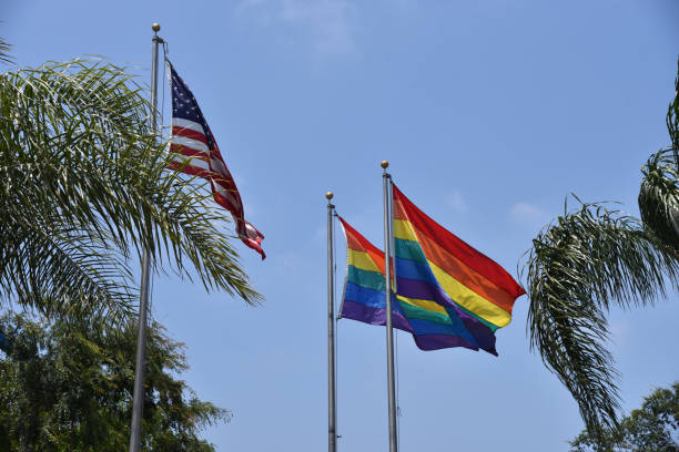 istock Gay pride flags flying in West Hollywood 1205888201
