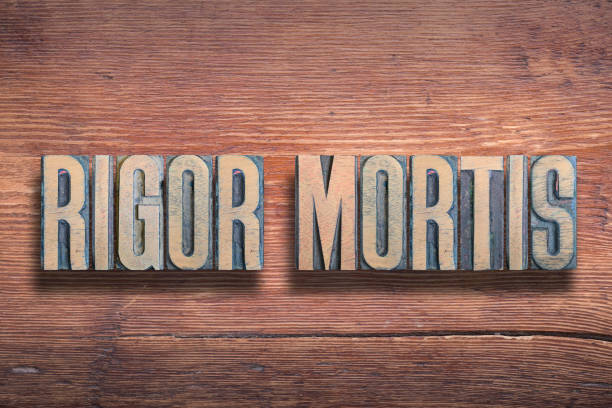 istock rigor mortis wood 1205891975
