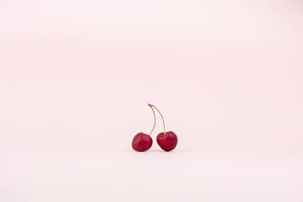 istock Two ripe burgundy cherries on one stalk on a gently pink background 1205893613