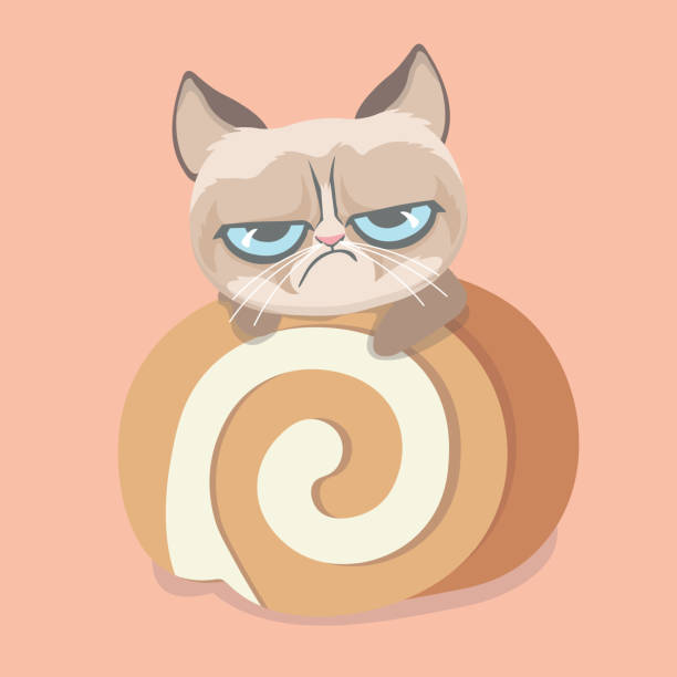 Grumpy Cat Pie 60+ Grumpy Cat Meme Stock Photos, Pictures & Royalty-Free Images - iStock