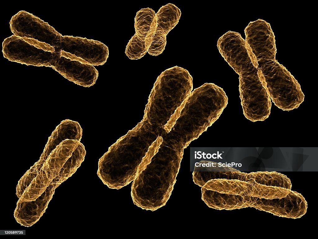chromosomes - 3Dのロイヤリティフリーストックフォト