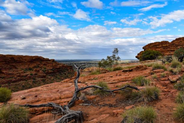 australian outback - olgas imagens e fotografias de stock