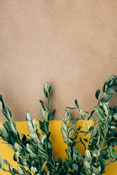 istock greeting card with green branches dried flowers on yellow brown background copy space 1205904299