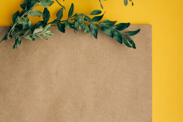 istock greeting card with green branches dried flowers on yellow brown background copy space 1205904312