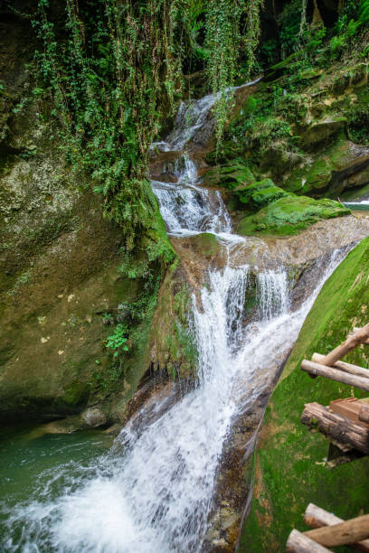 vista da cachoeira de verão na natureza verde - backpacker green vacations outdoors - fotografias e filmes do acervo