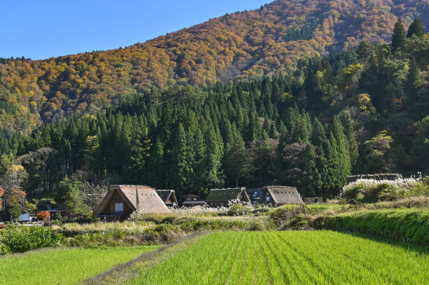 istock Shirakawa-go, Japan 1205906433