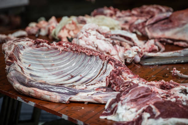 carne e ossa di carcassa di agnello e di mucca - shaanxi province immagine foto e immagini stock