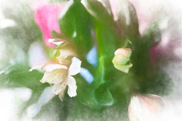 Roses and lisianthus flowers in a bouquet.