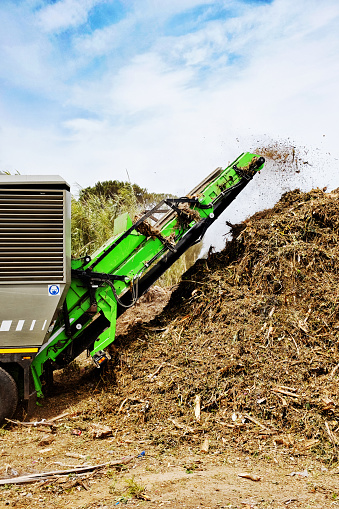 A green machine shred and sprays out chopped garden refuse onto a compost heap at a municipal recycling plant.