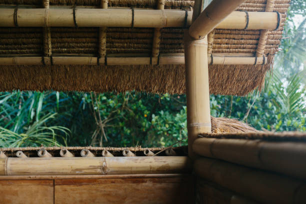 istock Bamboo roof in Bali natural building house 1205910940