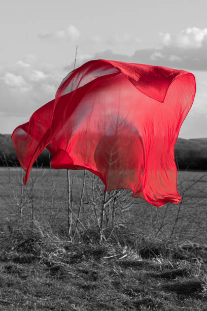 A red cloth hovers at the field edge. Color Key.