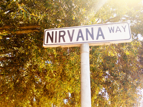 Lit by the sun, the street sign for the Buddhist-inspired street name Nirvana Way, stands in front of a tree.