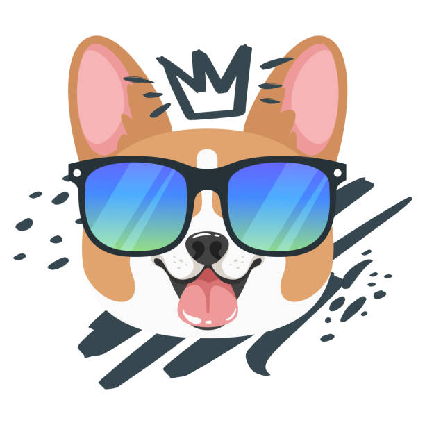 illustrations, cliparts, dessins animés et icônes de crabot dans l’illustration plate de lunettes de soleil - top dog