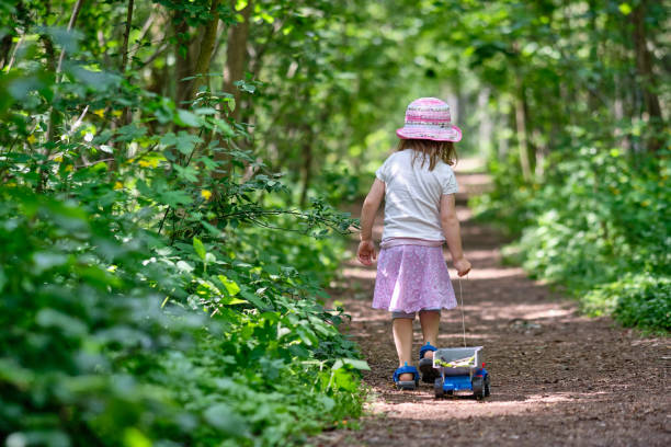 Rear view of child girl pulling her toy truck in the summer forest stock photo