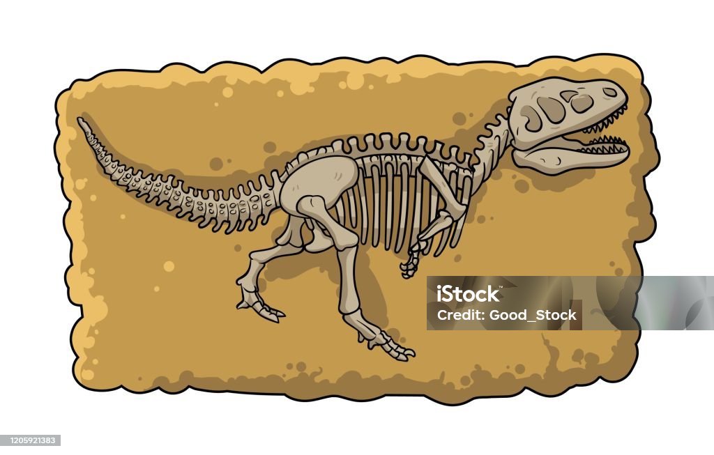 Ilustración de Esqueleto Fósil De Dinosaurio En El Suelo Elemento De  Excavación Arqueológica Estilo De Dibujos Animados Ilustración Vectorial  Plana Aislada Sobre Fondo Blanco y más Vectores Libres de Derechos de Fósil  -