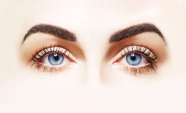 istock Close up of eyes and makeup 1205922176