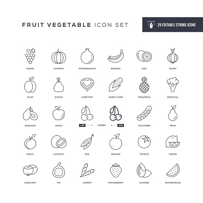 29 Fruit Vegetable Icons - Editable Stroke - Easy to edit and customize - You can easily customize the stroke with