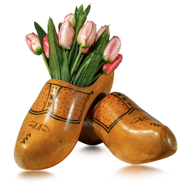 Close-up of a pair of wooden clogs made in Netherlands and tulips, isolated on white background with reflections
