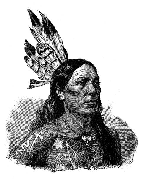 ilustraciones, imágenes clip art, dibujos animados e iconos de stock de ilustración antigua: nativo norteamericano - native american illustrations