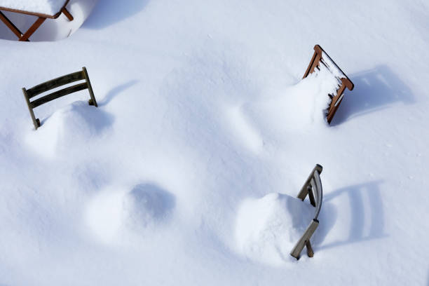 Garden in Montreal with chairs covered in snow