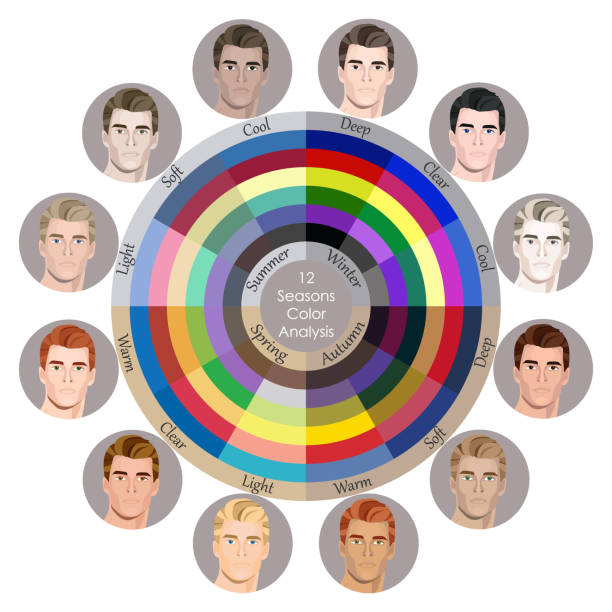 Stock vector seasonal color analysis palette for all types of male appearance. Best colors for 12 types Stock vector seasonal color analysis palette for all types of male appearance. Best colors for 12 types. Face of young man deep pick stock illustrations