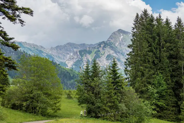 Landscape around Bad Hindelang in Bavaria, Germany Europe