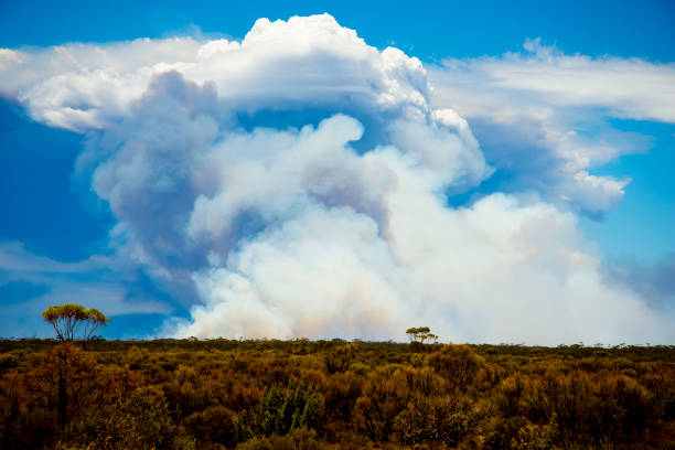 Giant Smoke Plume from Bush Fires - Australia