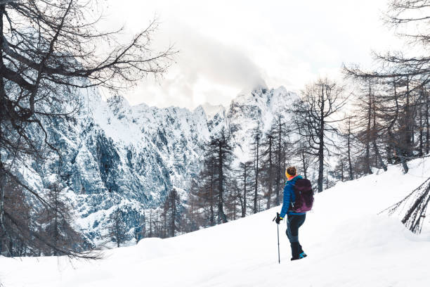 istock Stop and take a minute to take it all in 1205947567