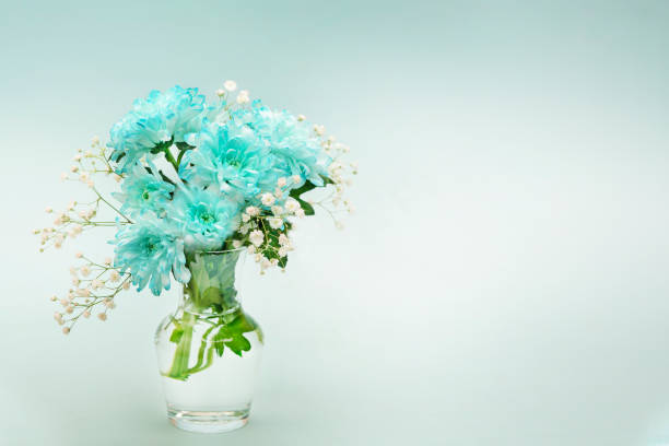 istock Light green spring chrysanthemum flowers on a single-leaf light green background. Bouquet in a decanter, composition for Valentine's day, mother's day, love and Easter. copy space 1205951824