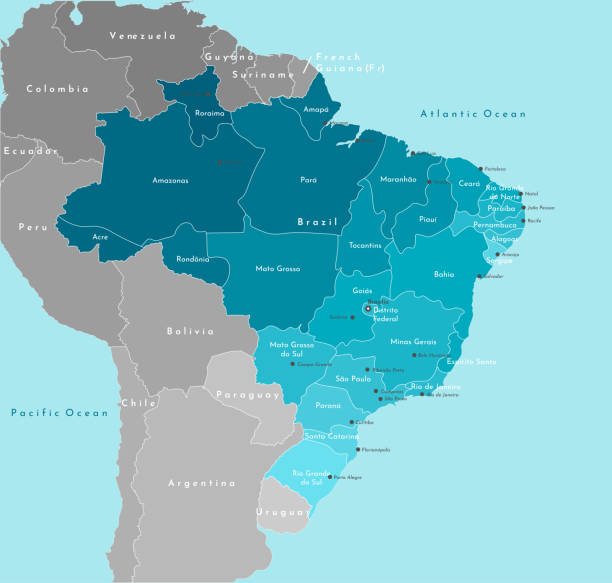 ilustraciones, imágenes clip art, dibujos animados e iconos de stock de ilustración moderna vectorial. mapa geográfico simplificado de brasil y los estados más cercanos. fondo azul de los océanos. nombres de ciudades brasileñas (brasália, sáo paulo y etc.) y provincias. - américa del sur