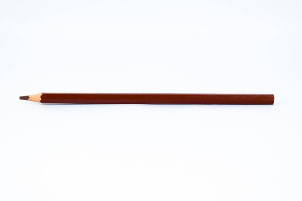 Wafer roll with chocolate and cocoa coating